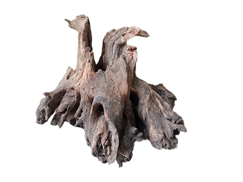 Natural Driftwood for Aquariums