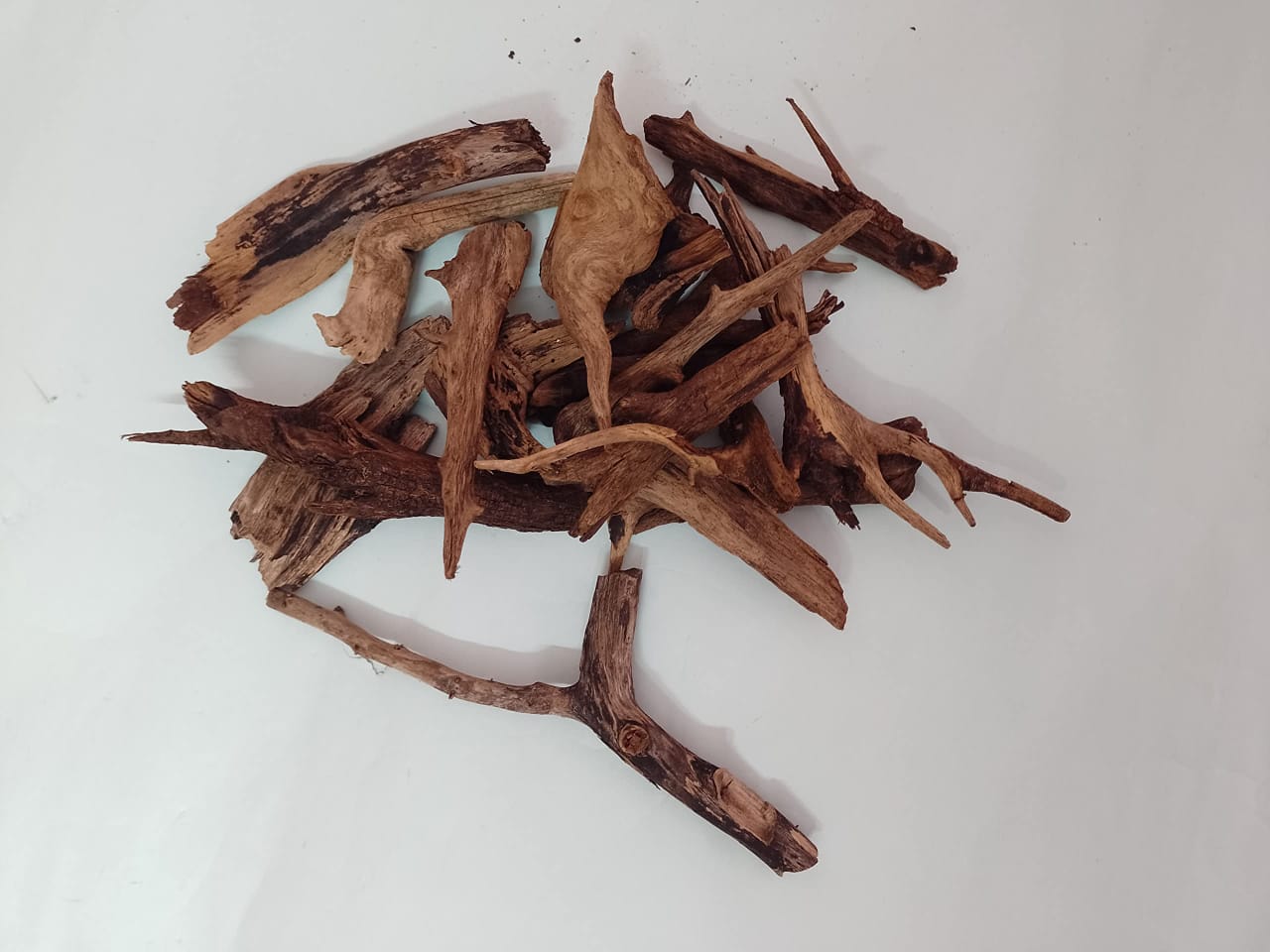 Driftwood for terrarium 10 small pieces 