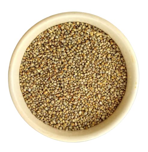 Pearl Millet, Bajra or Kambu Bird Food for All Life Stages Pigeons, Doves, Canaries, Budgies, Waxbills, Finches, Lovebirds, and More 1KG (1000 Gram)