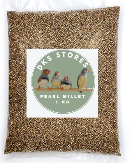 Pearl Millet, Bajra or Kambu Bird Food for All Life Stages Pigeons, Doves, Canaries, Budgies, Waxbills, Finches, Lovebirds, and More 1KG (1000 Gram)