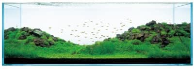 Aquarium Rock, Aquarium Decoration, Reef Tank Setup, Terrariums, Black rock etc. 1kg (4 to 6 pieces) (Random Shape)