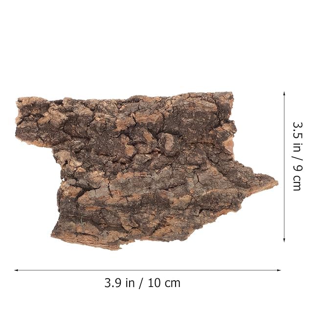 Teak Wood Bark Background for Reptile Terrarium, Cork Wood Bark for Turtle, Bearded Dragon, Snake 900 gram
