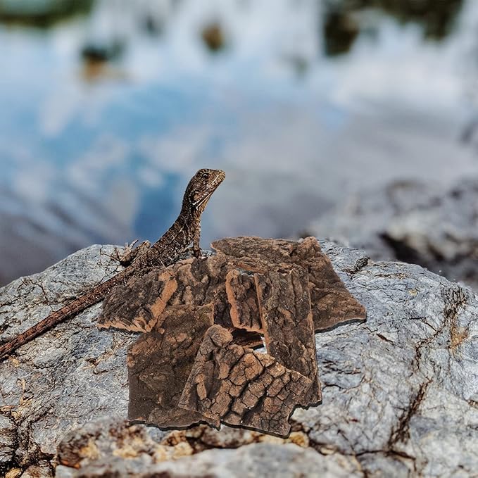 Teak Wood Bark Background for Reptile Terrarium, Cork Wood Bark for Turtle, Bearded Dragon, Snake 900 gram