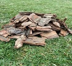 Teak Wood Bark Background for Reptile Terrarium, Cork Wood Bark for Turtle, Bearded Dragon, Snake 900 gram