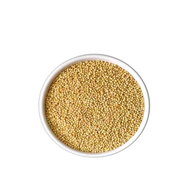 Foxtail Millet (Kangni or Thinai), Bird Food for All Life Stages Canary, Finches, Waxbills, Budgies, Lovebirds, Cockatiels, Parrots & Parakeets, 1000 gram