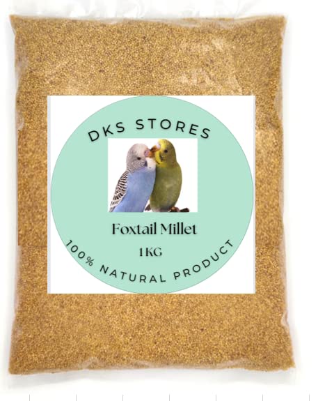 Foxtail Millet (Kangni or Thinai), Bird Food for All Life Stages Canary, Finches, Waxbills, Budgies, Lovebirds, Cockatiels, Parrots & Parakeets, 1000 gram