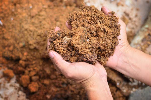 Wood Sawdust/lakdi ki bhusi, Saw dust Powder, Wood dust Powder Good for Mushrooms 900 gram 
