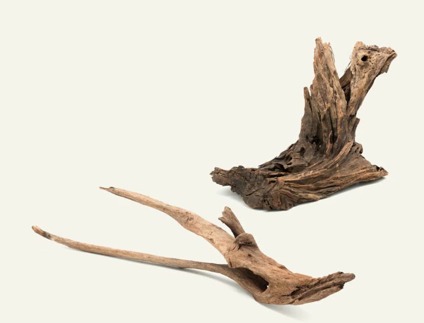 Driftwood for Aquarium Small Two Pieces (Random Shape ) 15 CM long Suitable for Mini Tanks only