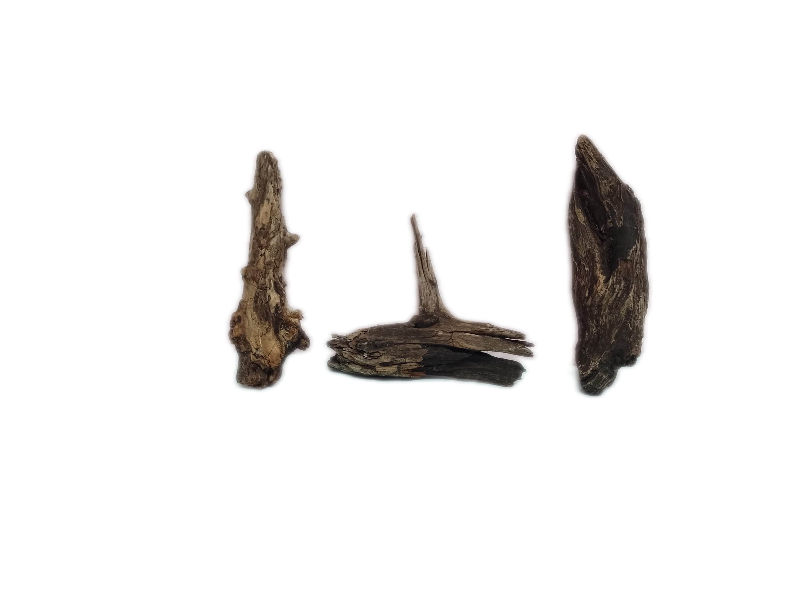 Driftwood for Aquarium Small Two Pieces (Random Shape ) 15 CM long Suitable for Mini Tanks only