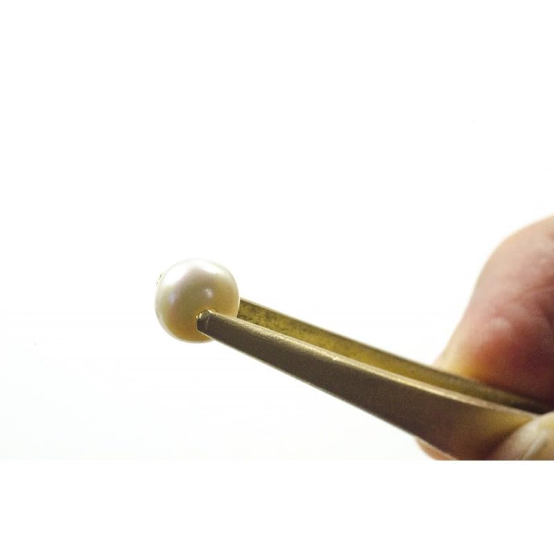 Brass Aquarium Tweezer Aquarium Maintenance Tool For Small Fish Tanks -STRAIGHT Leveler Live Plants Grass Stainless Steel 20 CM