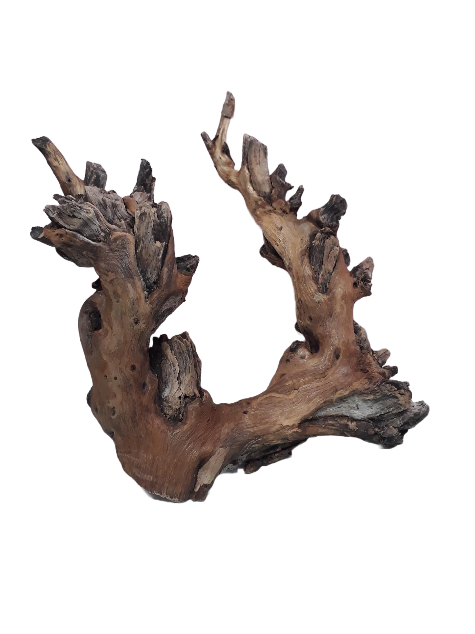 Driftwood For Aquarium Original Teak wood 1 KG Weight and 38 CM Long (Random Shape)