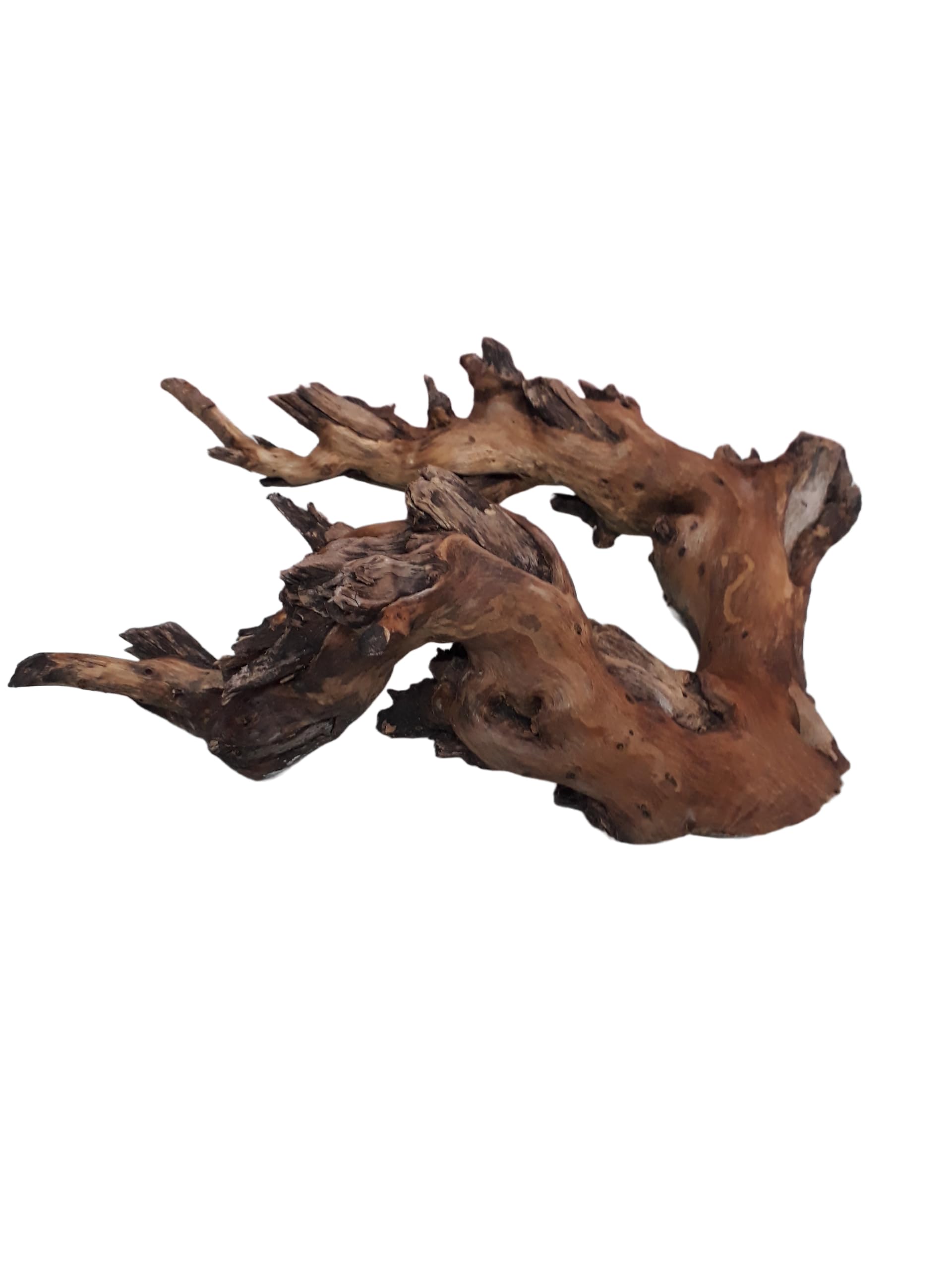 Driftwood For Aquarium Original Teak wood 1 KG Weight and 38 CM Long (Random Shape)