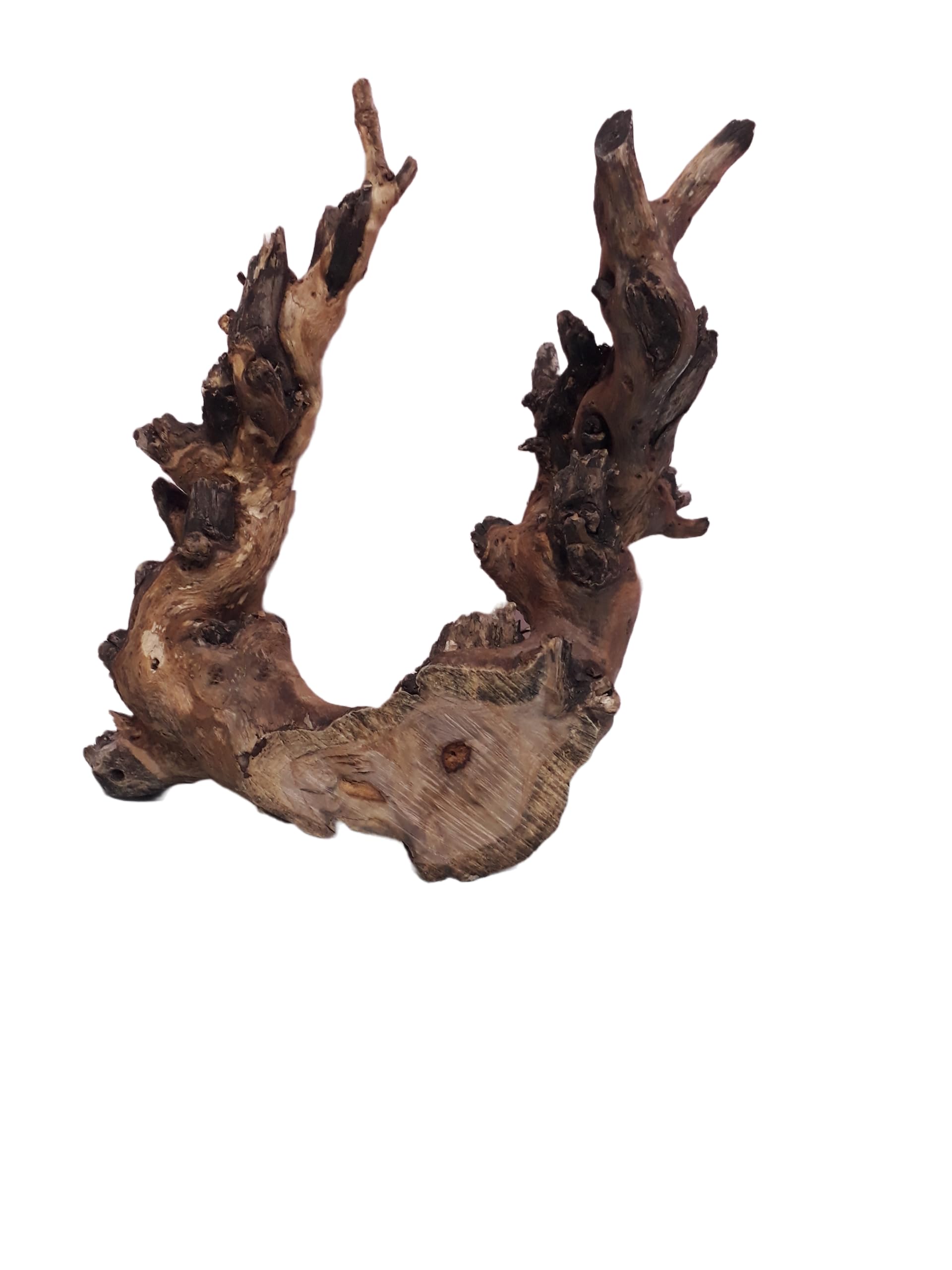 Driftwood For Aquarium Original Teak wood 1 KG Weight and 38 CM Long (Random Shape)