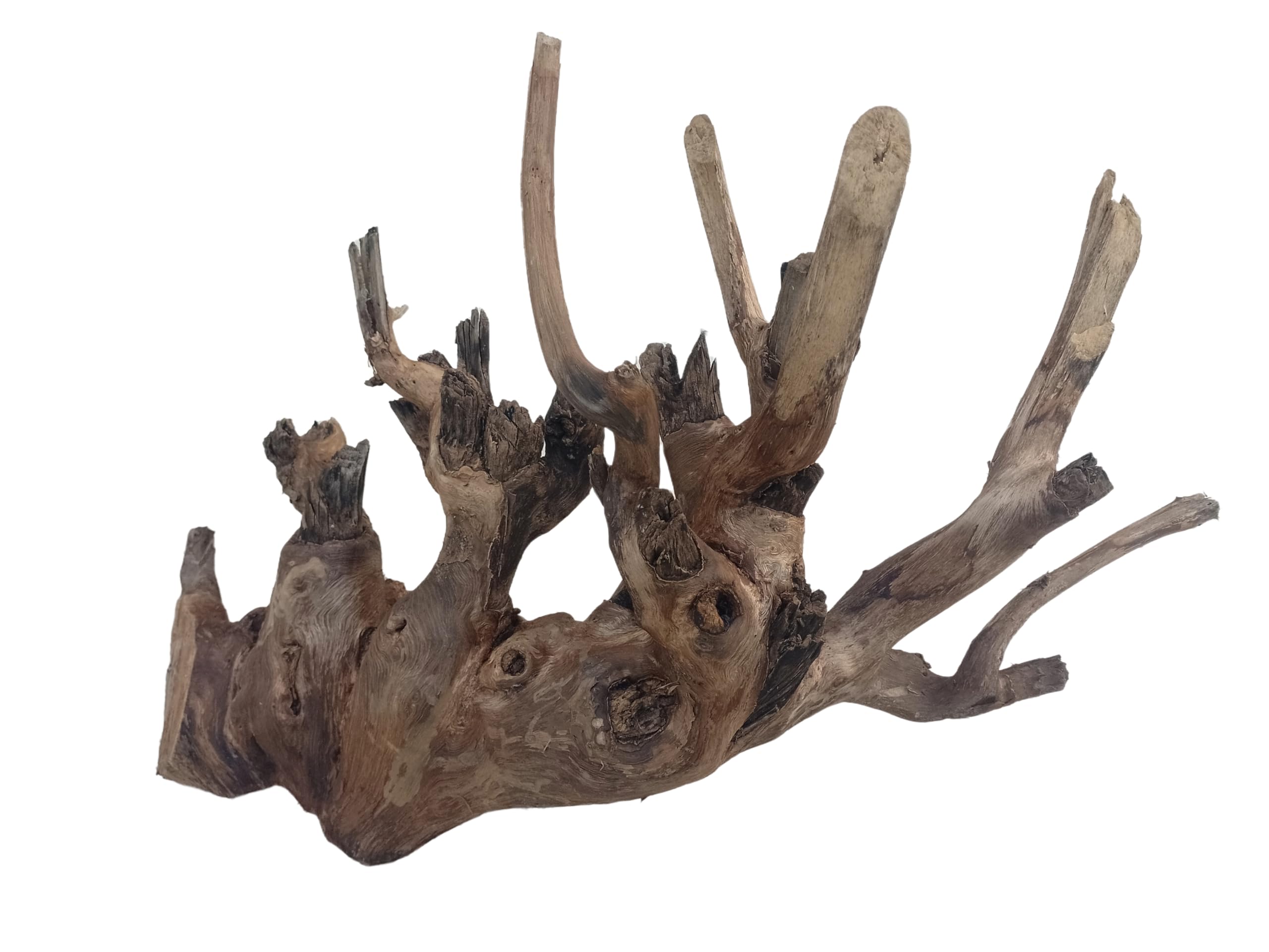 Driftwood For Aquarium, Original Teak Wood Branch, 78 cm Long Only For Large Tanks
