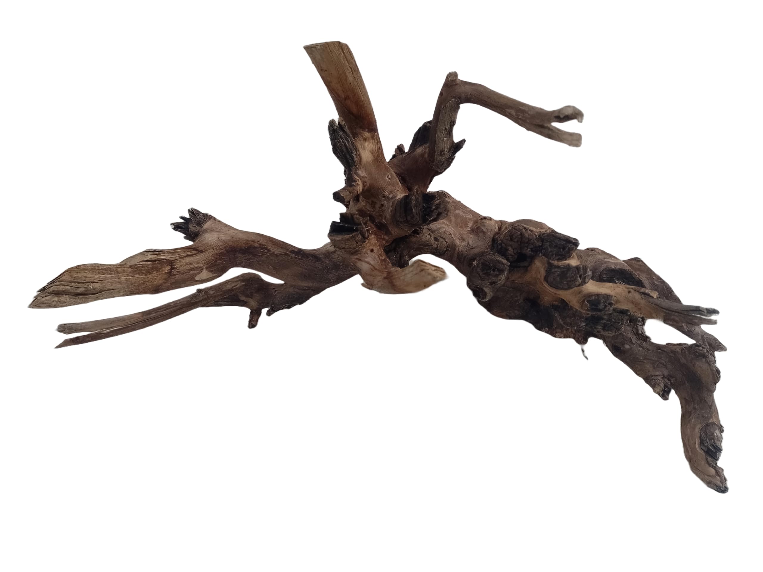Driftwood For Aquarium, Original Teak Wood Branch, 78 cm Long Only For Large Tanks
