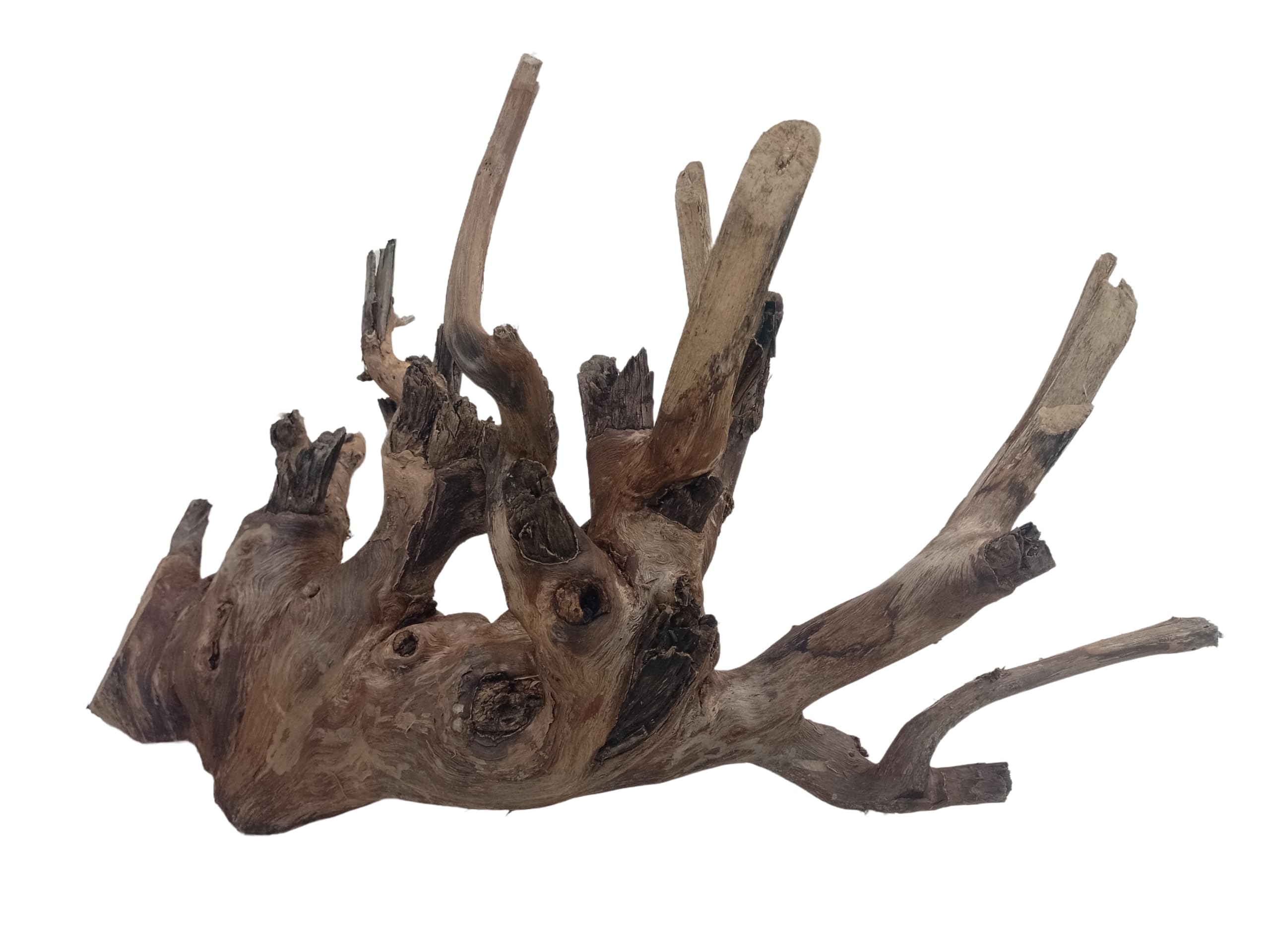 Driftwood For Aquarium, Original Teak Wood Branch, 78 cm Long Only For Large Tanks