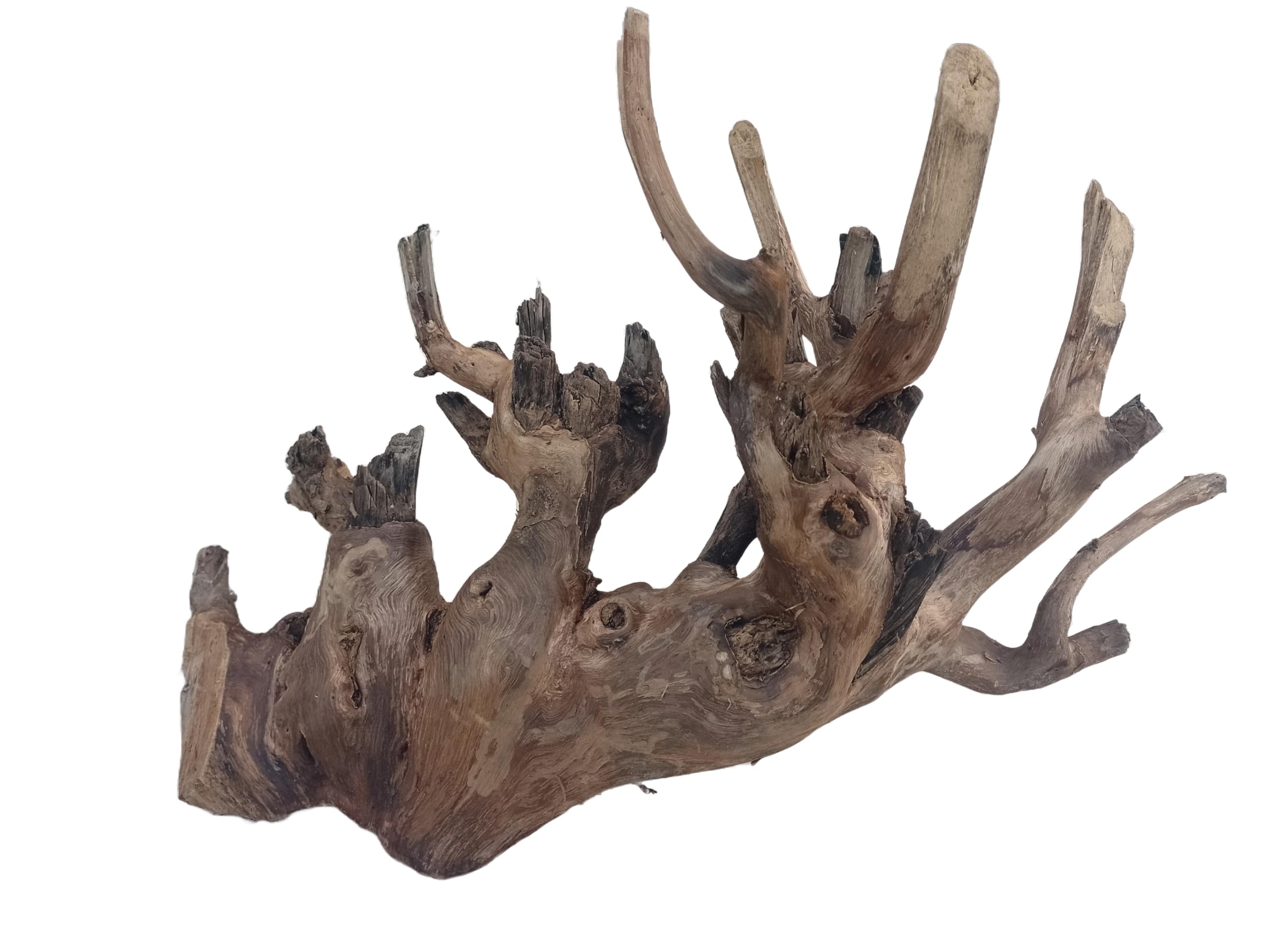 Driftwood For Aquarium, Original Teak Wood Branch, 78 cm Long Only For Large Tanks