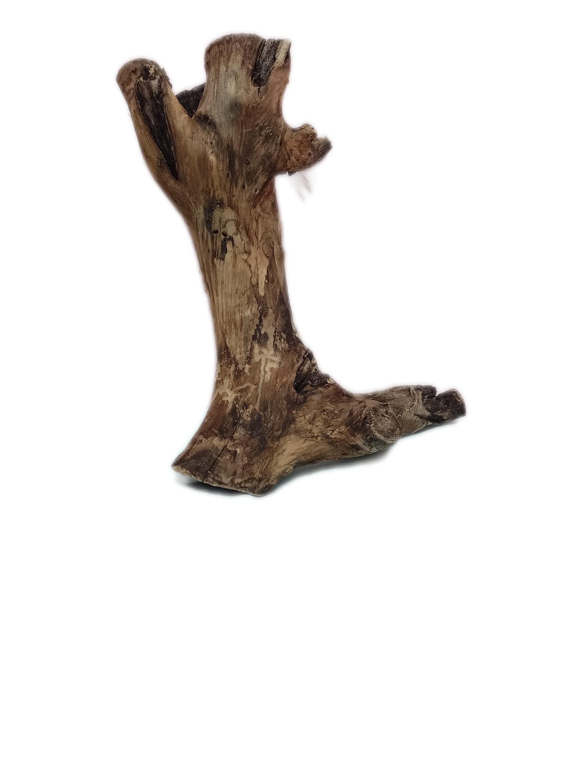 DKS STORES Driftwood For Aquarium Original Teak Wood 1.8 Kg Weight And 36 Cm Height(Random Shape)