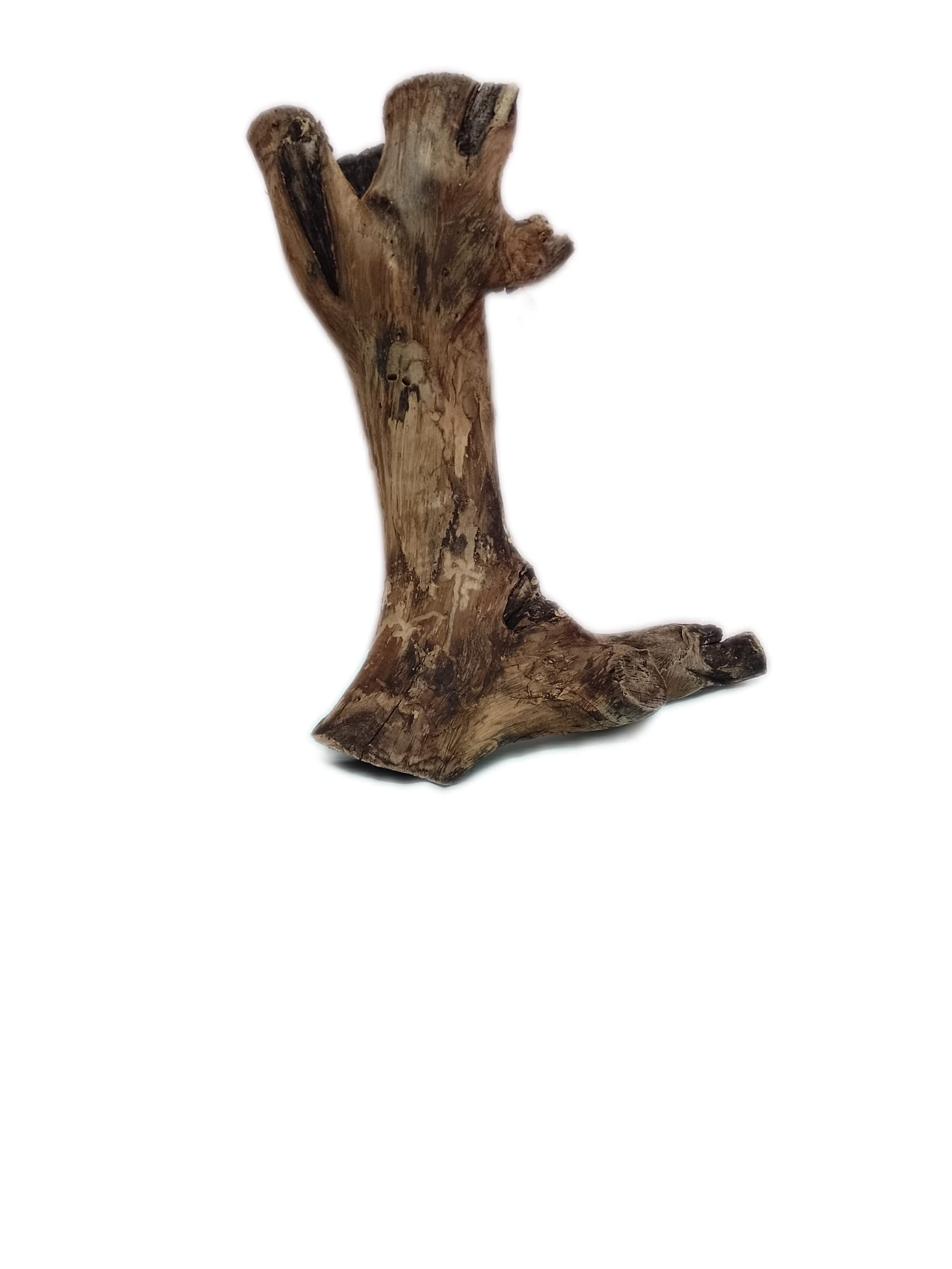 DKS STORES Driftwood For Aquarium Original Teak Wood 1.8 Kg Weight And 36 Cm Height(Random Shape)
