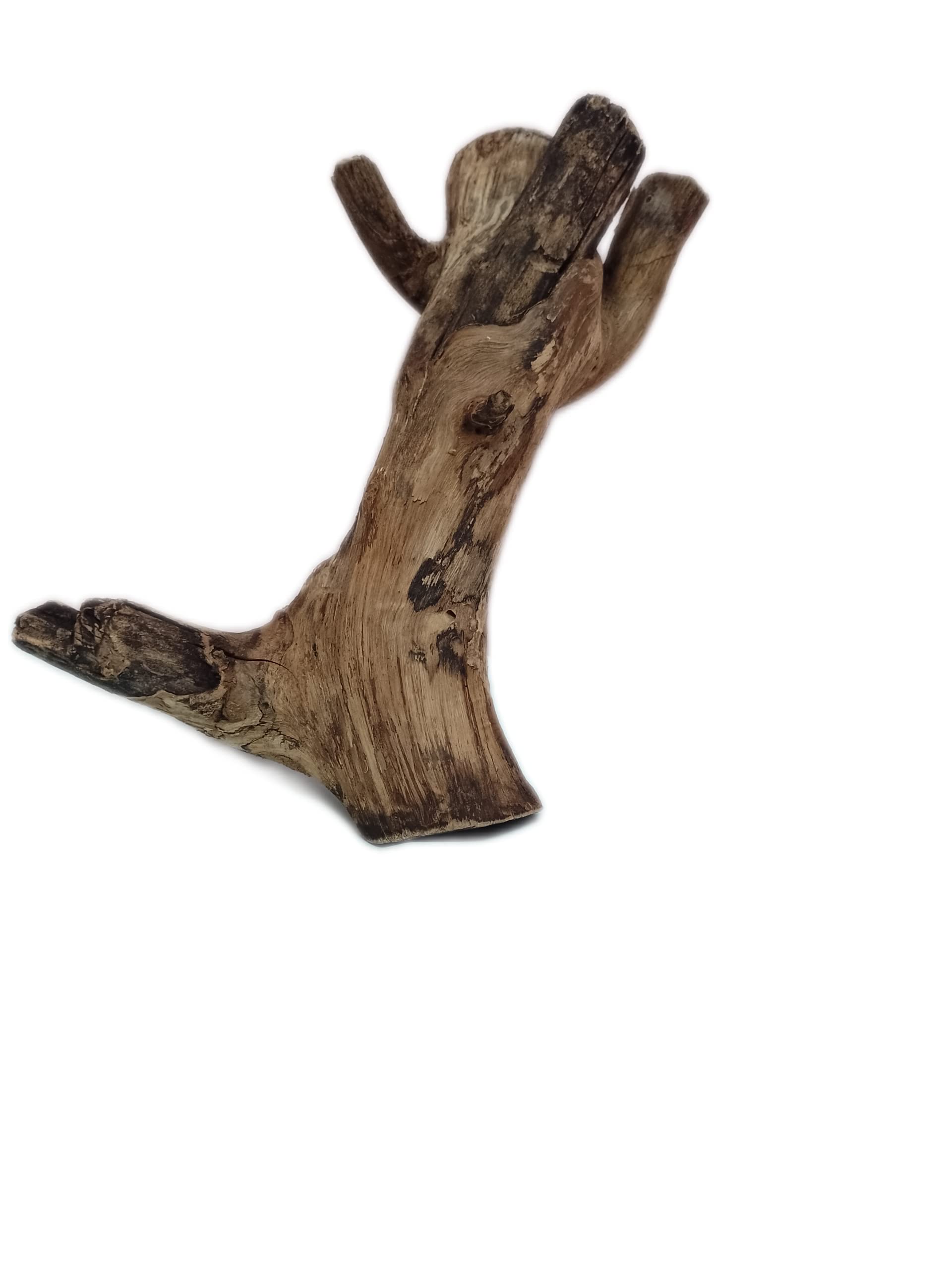 DKS STORES Driftwood For Aquarium Original Teak Wood 1.8 Kg Weight And 36 Cm Height(Random Shape)