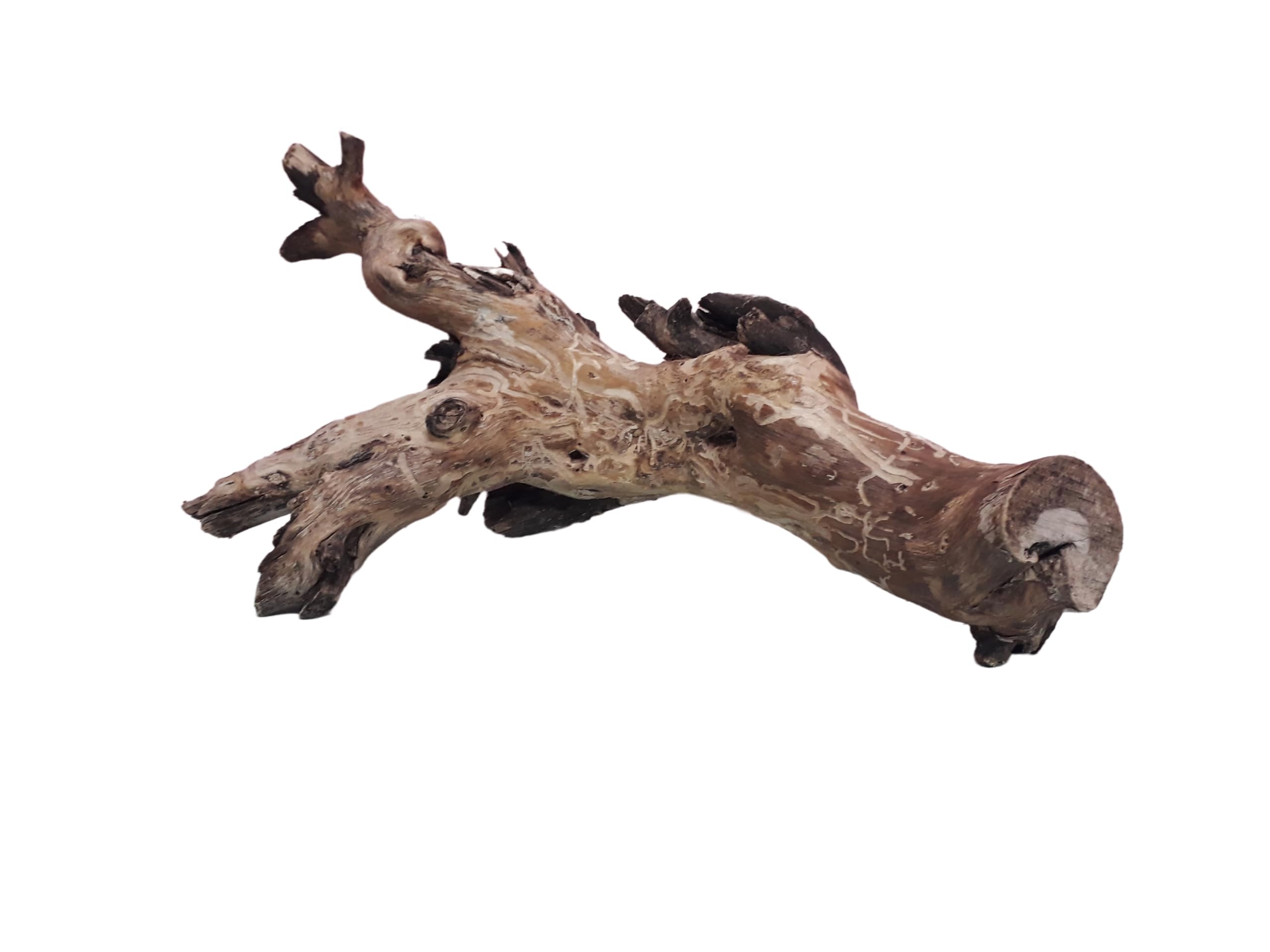 Driftwood For Aquarium Original Teak 40 Cm Long Driftwood (Random Shape)