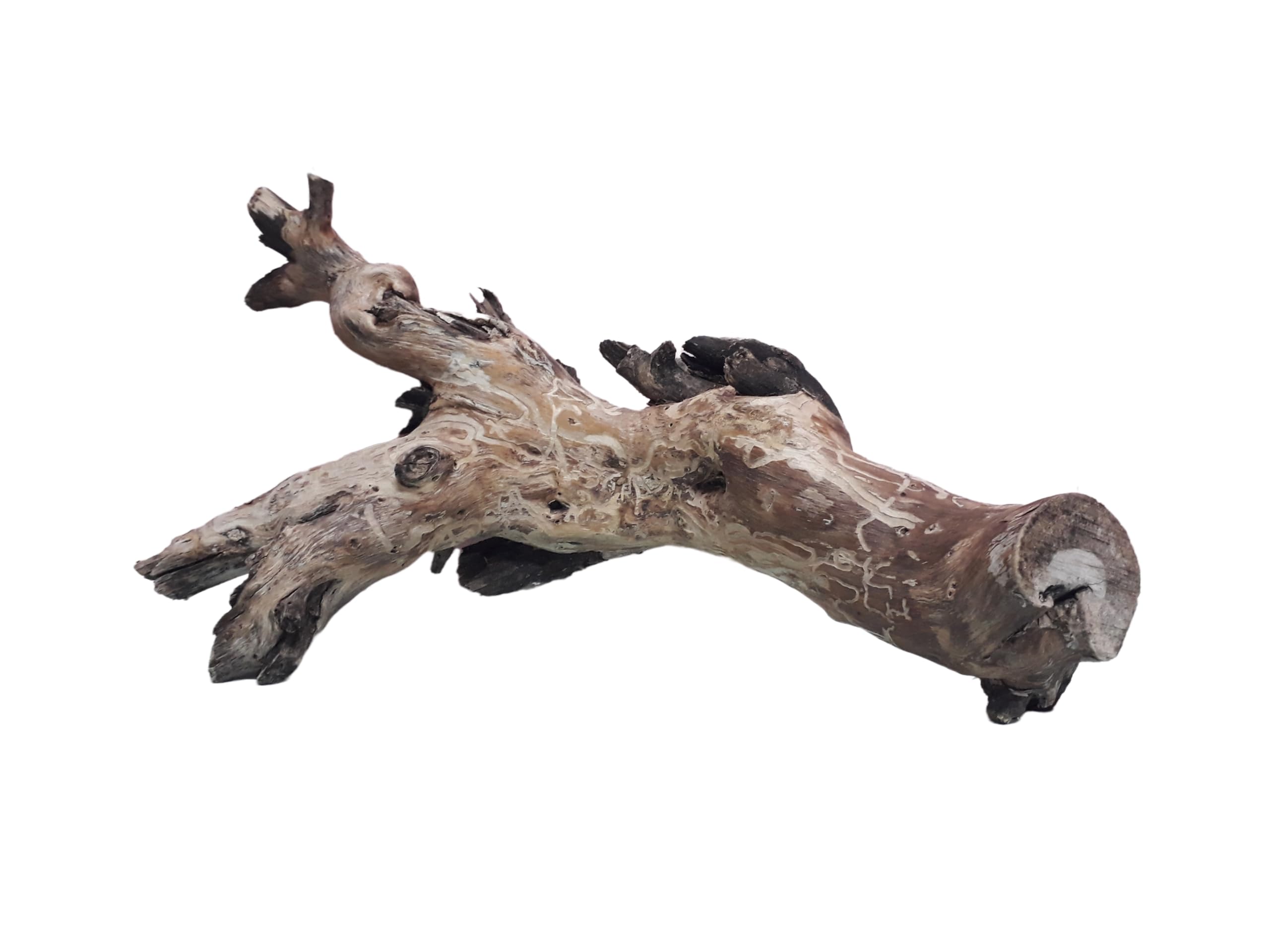 Driftwood For Aquarium Original Teak 40 Cm Long Driftwood (Random Shape)