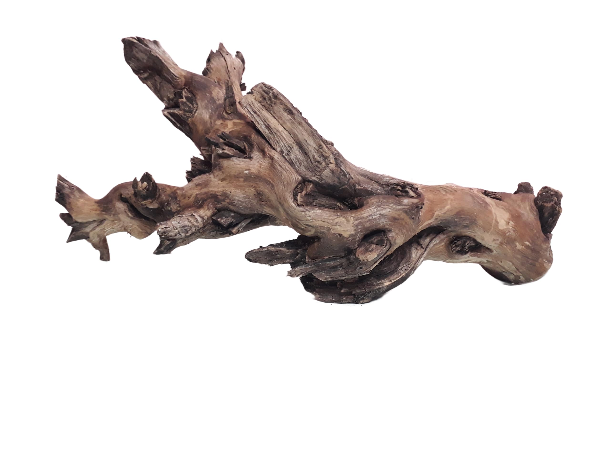 Driftwood For Aquarium Original Teak 40 Cm Long Driftwood (Random Shape)