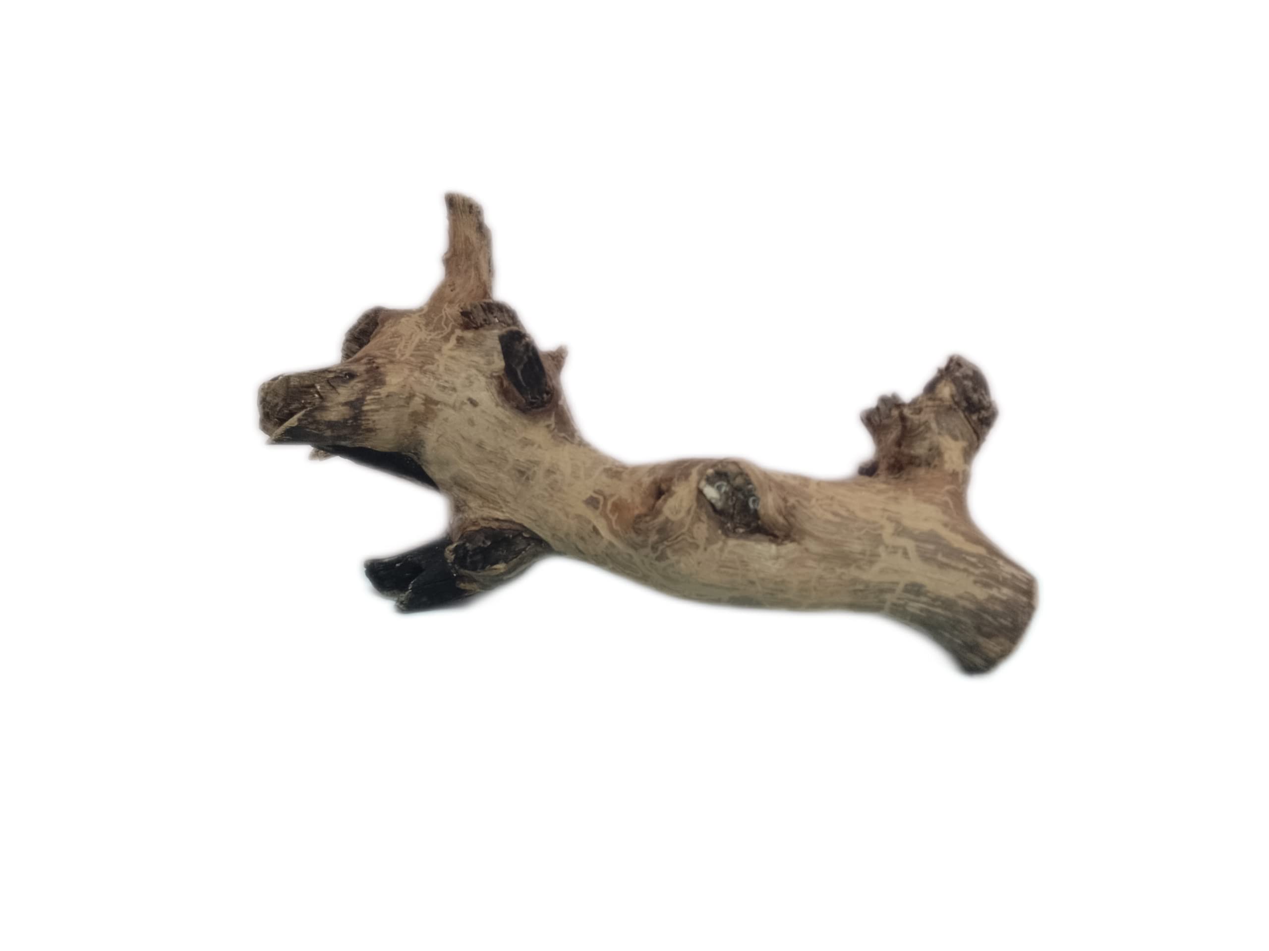 Driftwood for Aquarium Original Teak Wood 37 Cm long and 1.1 KG weight(Random Shape)