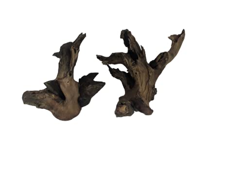 Driftwood for aquarium Original Teak wood small two Branch pieces