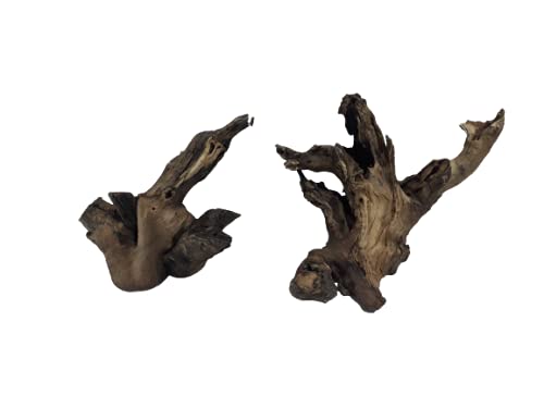 Driftwood for aquarium Original Teak wood small two Branch pieces
