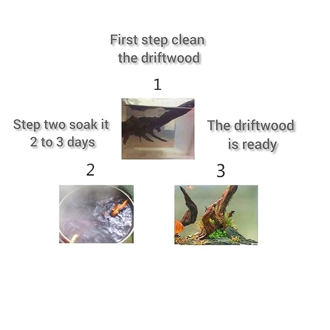 5 Pcs Driftwood Branches Aquarium Wood Decoration Natural Fish Tank Habitat Decor Wood for Lizard Assorted Size,Small/Medium