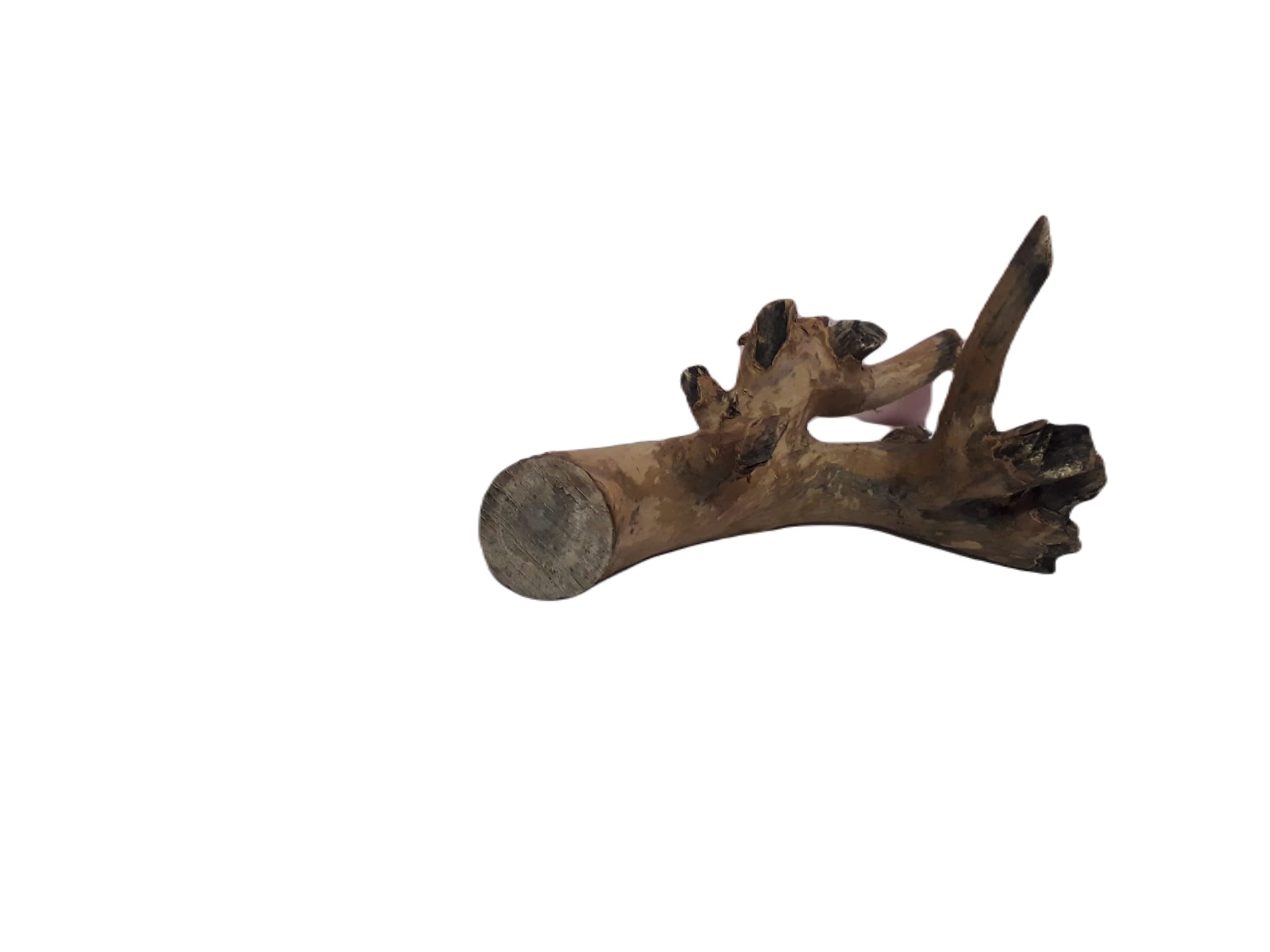 Driftwood for Aquarium Original Teak wood 30 CM long Solid branch wood (Random Shape)