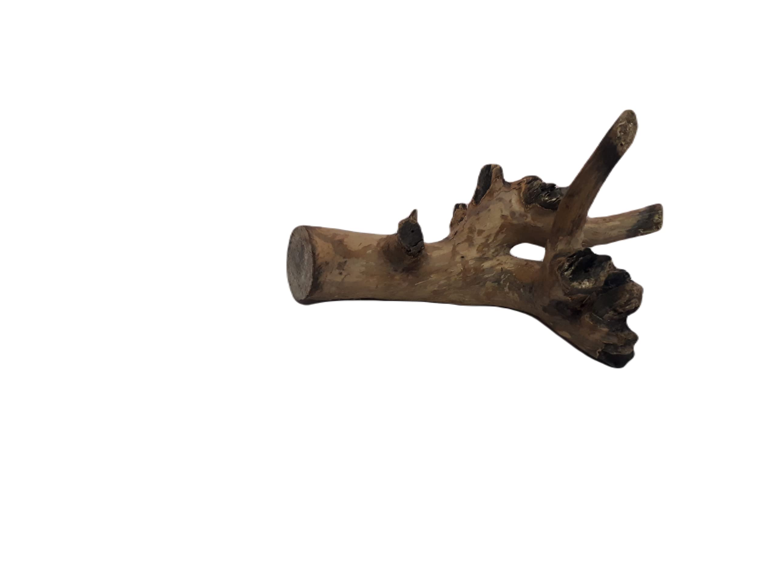 Driftwood for Aquarium Original Teak wood 30 CM long Solid branch wood (Random Shape)