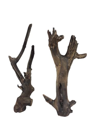 Driftwood for aquarium Original Teak wood Branch two small pieces 33 cm Height