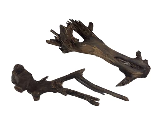 Driftwood for aquarium Original Teak wood Branch two small pieces 33 cm Height