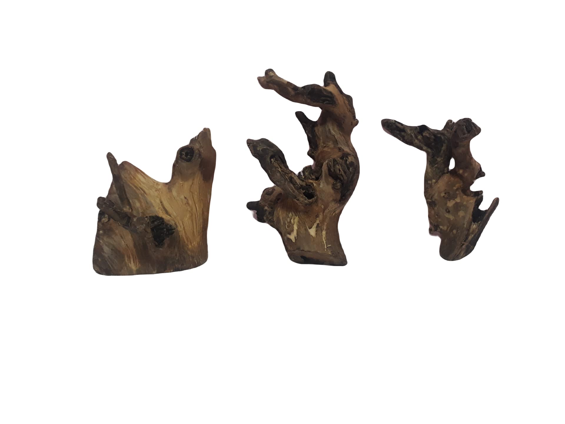 Driftwood For Aquarium Original Teak wood THREE Pieces (Random Shape)