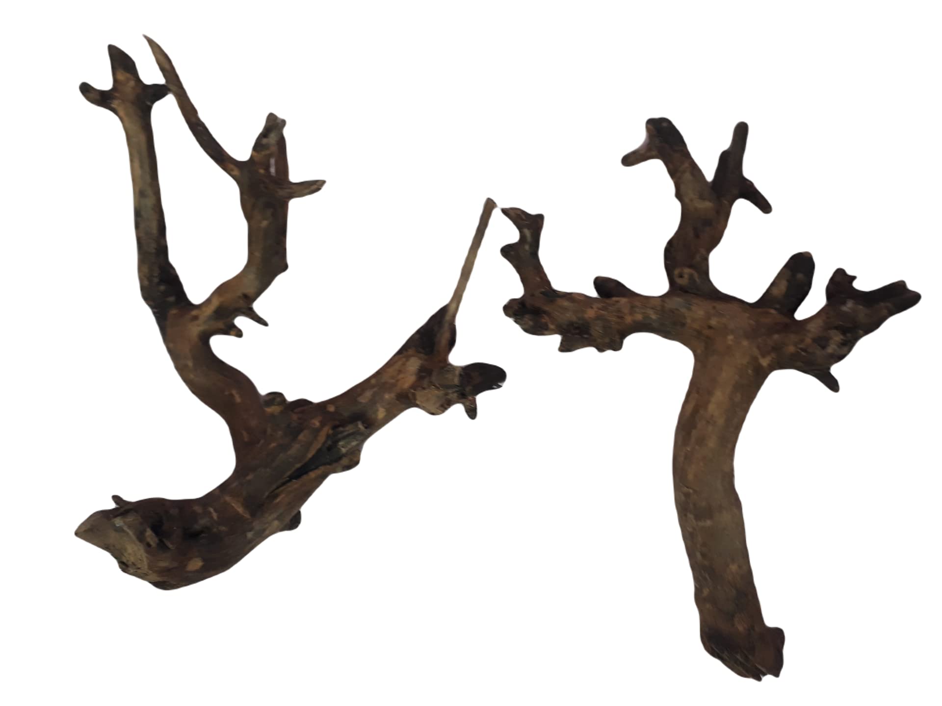 Driftwood For Aquarium Original Teak wood Two Pieces (RANDOM SHAPE)