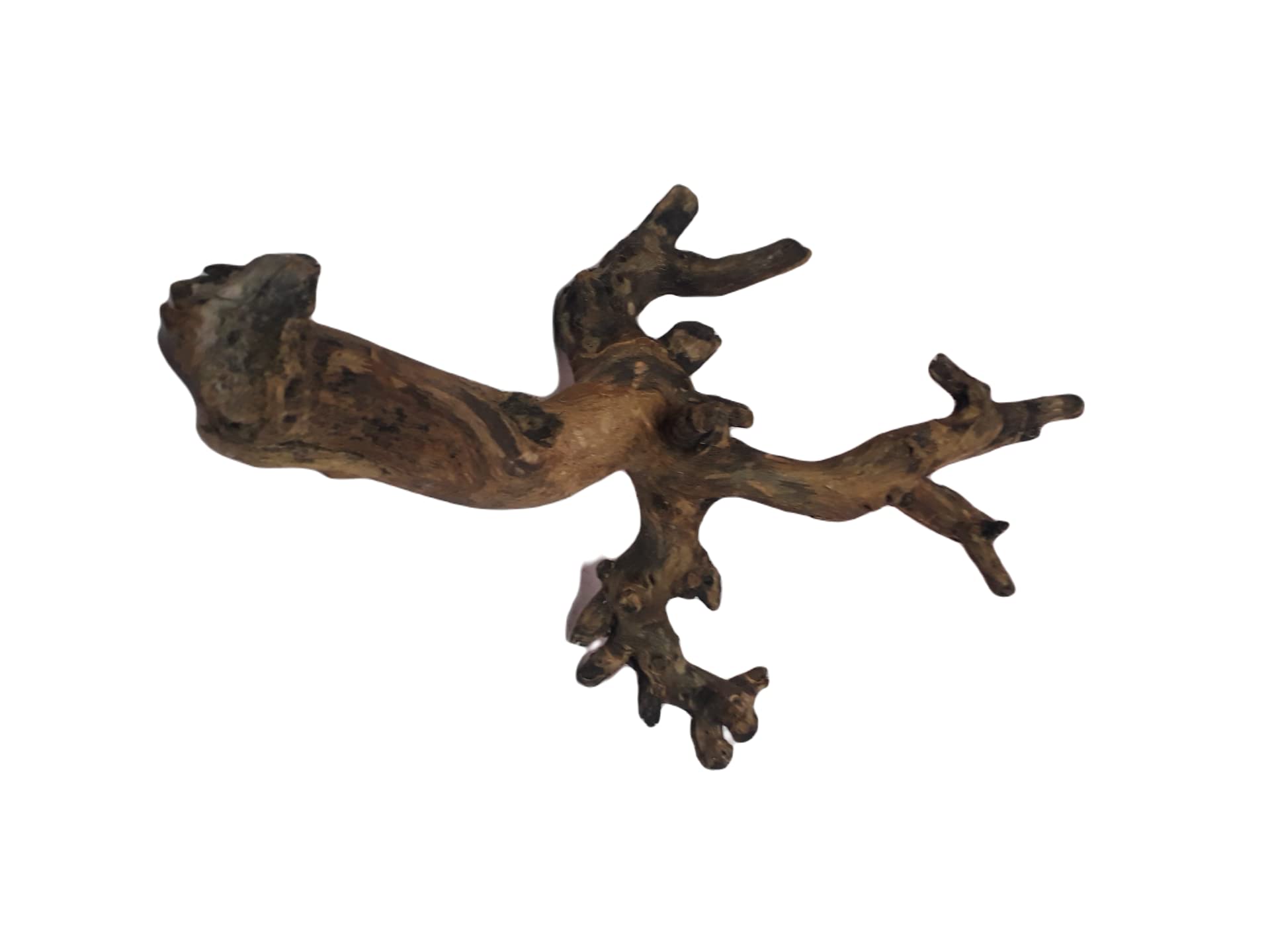 Driftwood For Aquarium Original Teak wood Two Pieces (RANDOM SHAPE)