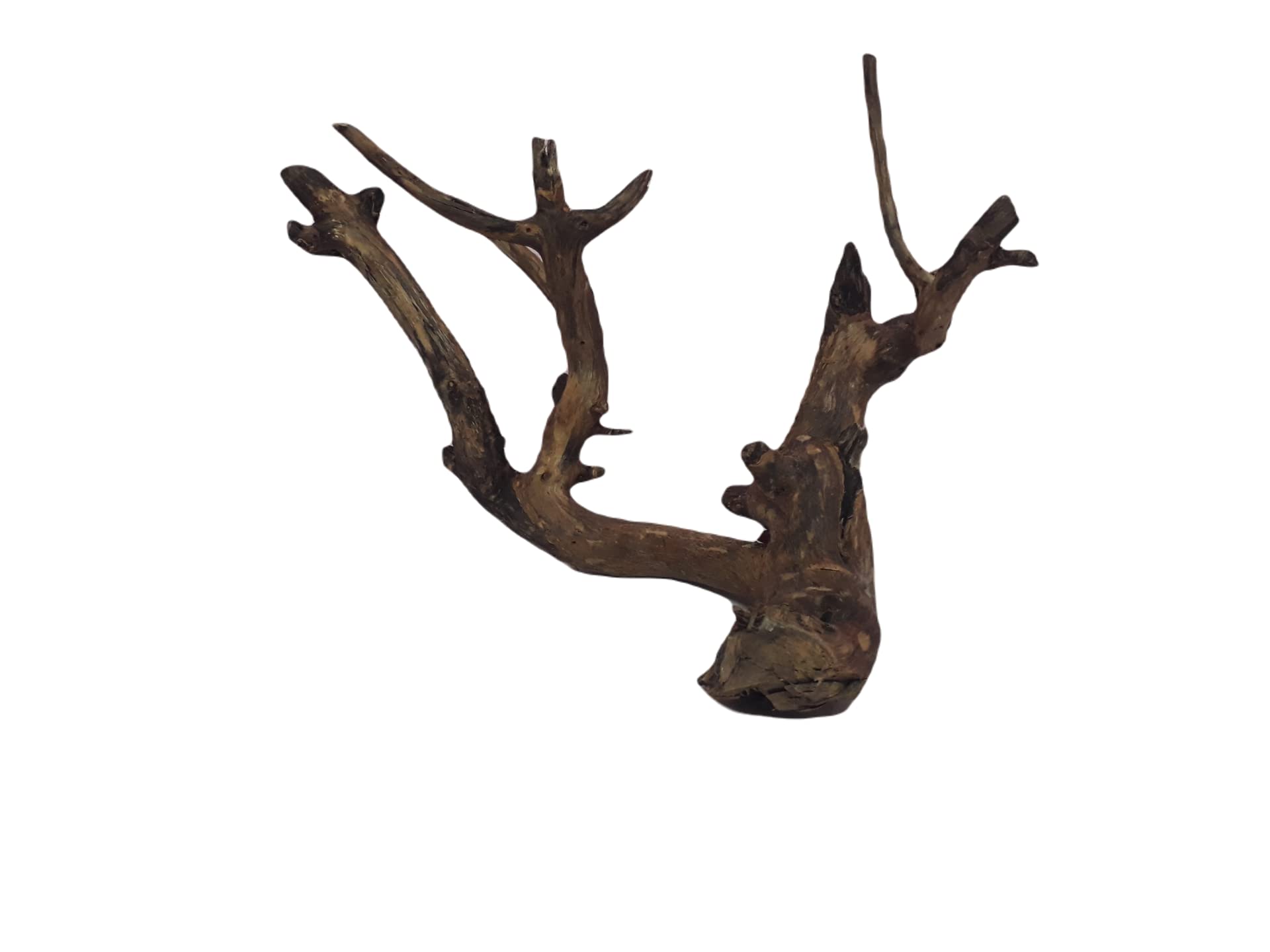 Driftwood For Aquarium Original Teak wood Two Pieces (RANDOM SHAPE)