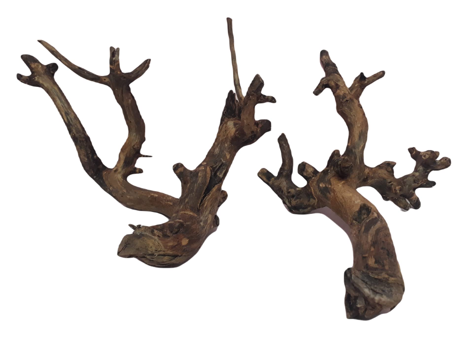 Driftwood For Aquarium Original Teak wood Two Pieces (RANDOM SHAPE)