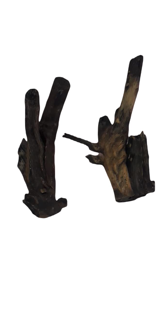 Driftwood For Aquarium Original Teak wood two Pieces 26 cm Height