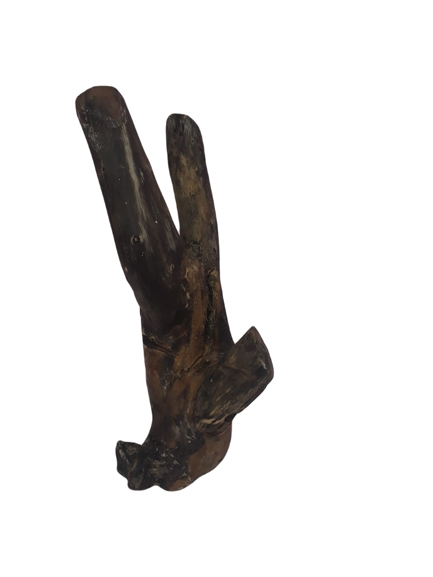 Driftwood For Aquarium Original Teak wood two Pieces 26 cm Height