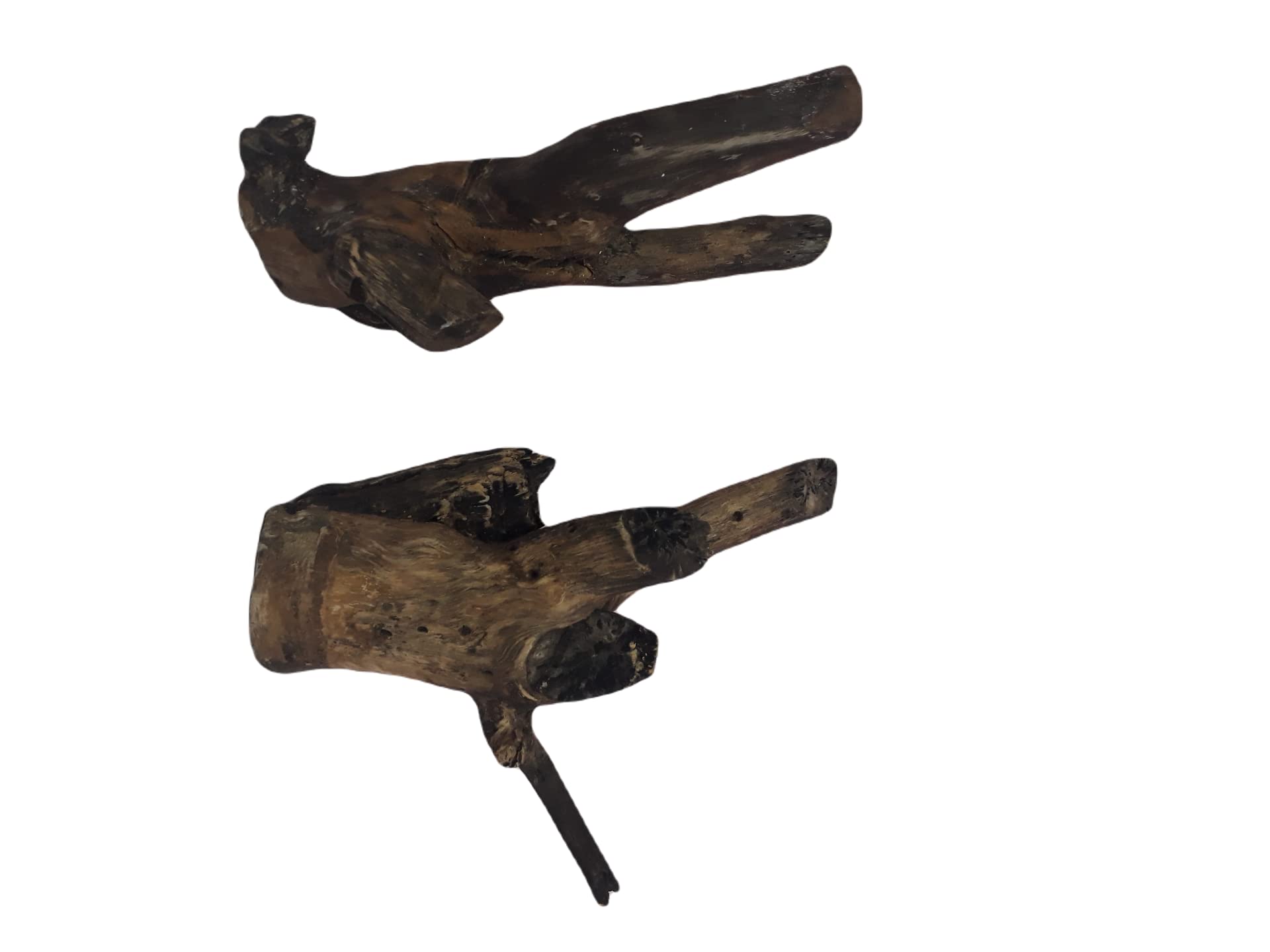 Driftwood For Aquarium Original Teak wood two Pieces 26 cm Height