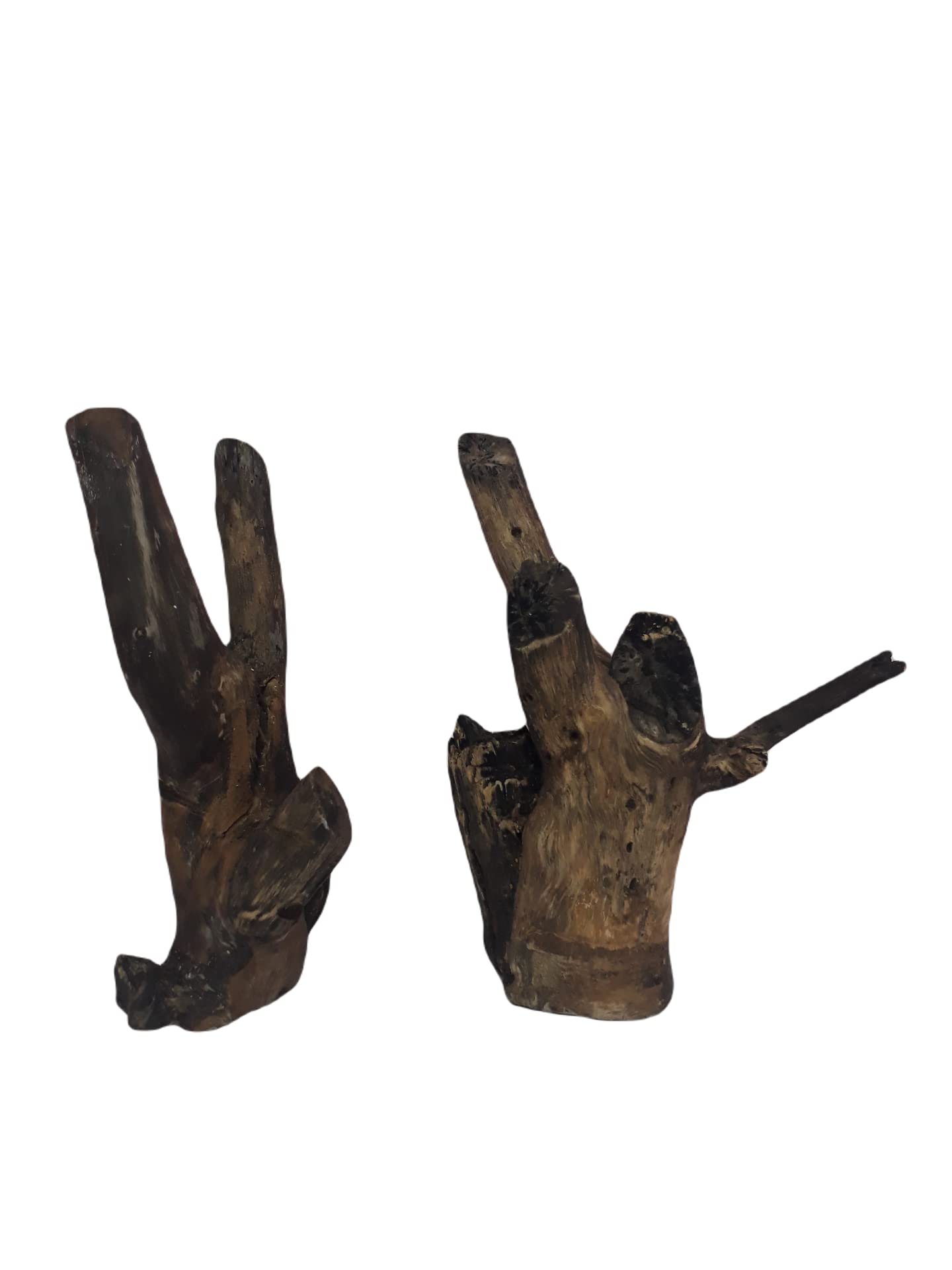 Driftwood For Aquarium Original Teak wood two Pieces 26 cm Height