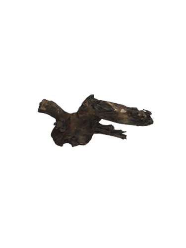 Driftwood for aquarium Original Teak wood Branch two small pieces 25 CM long nearly 1 kg weight