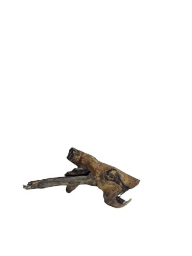 Driftwood for aquarium Original Teak wood Branch two small pieces 25 CM long nearly 1 kg weight
