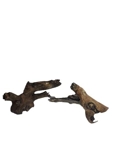 Driftwood for aquarium Original Teak wood Branch two small pieces 25 CM long nearly 1 kg weight