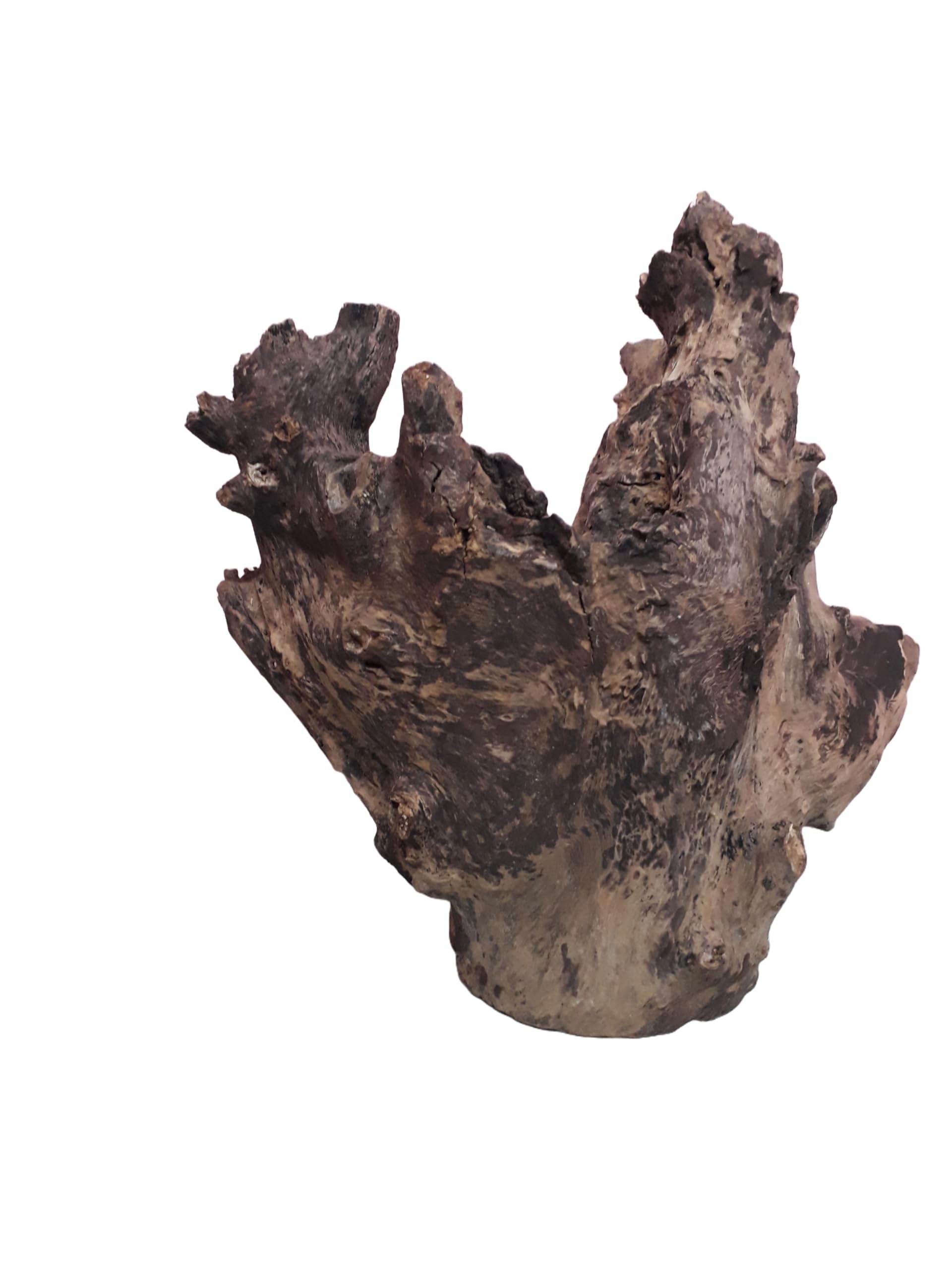 Driftwood For Aquairum Original Teak wood 5 Kg Weight and 40 CM Height