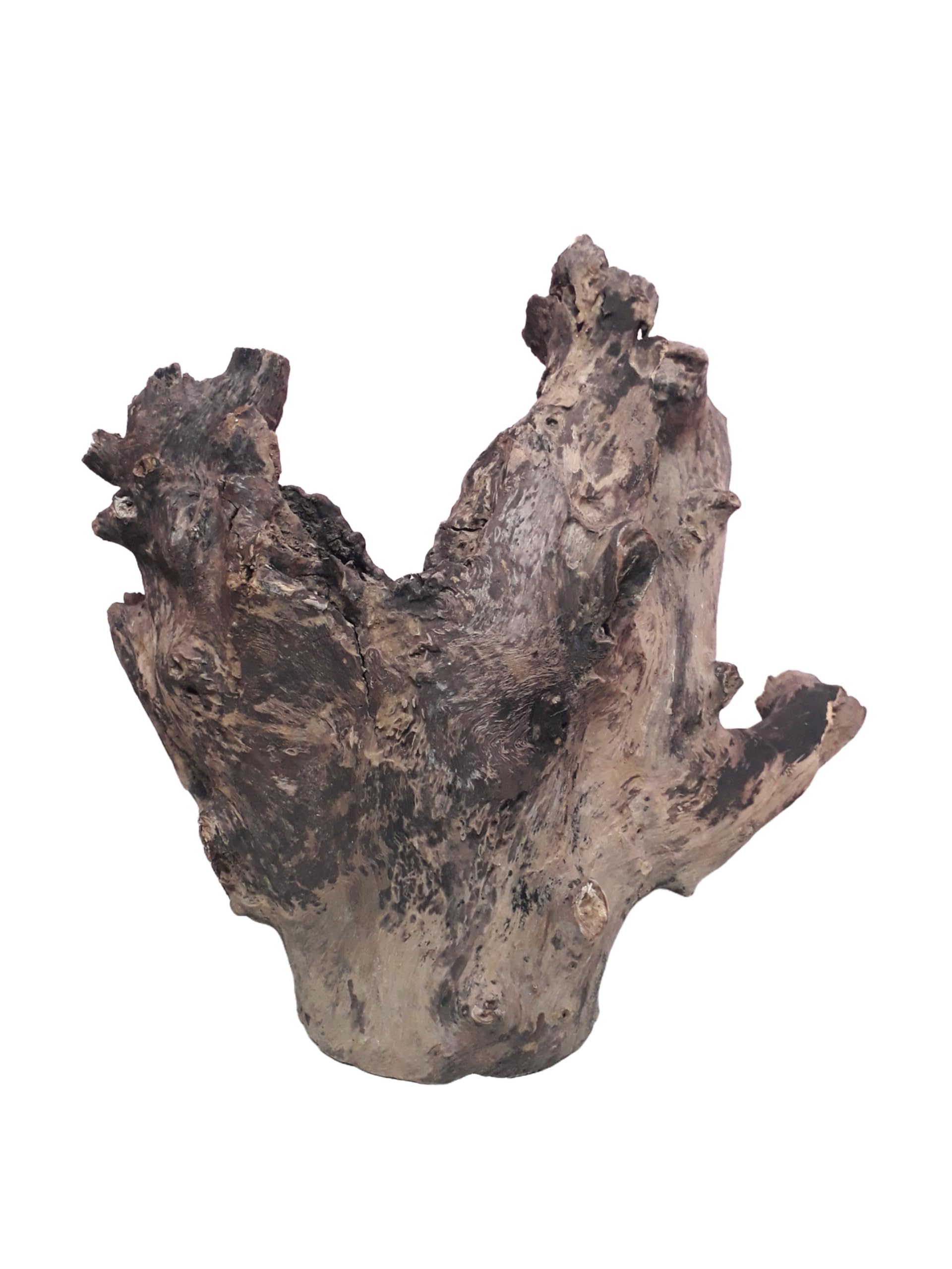 Driftwood For Aquairum Original Teak wood 5 Kg Weight and 40 CM Height