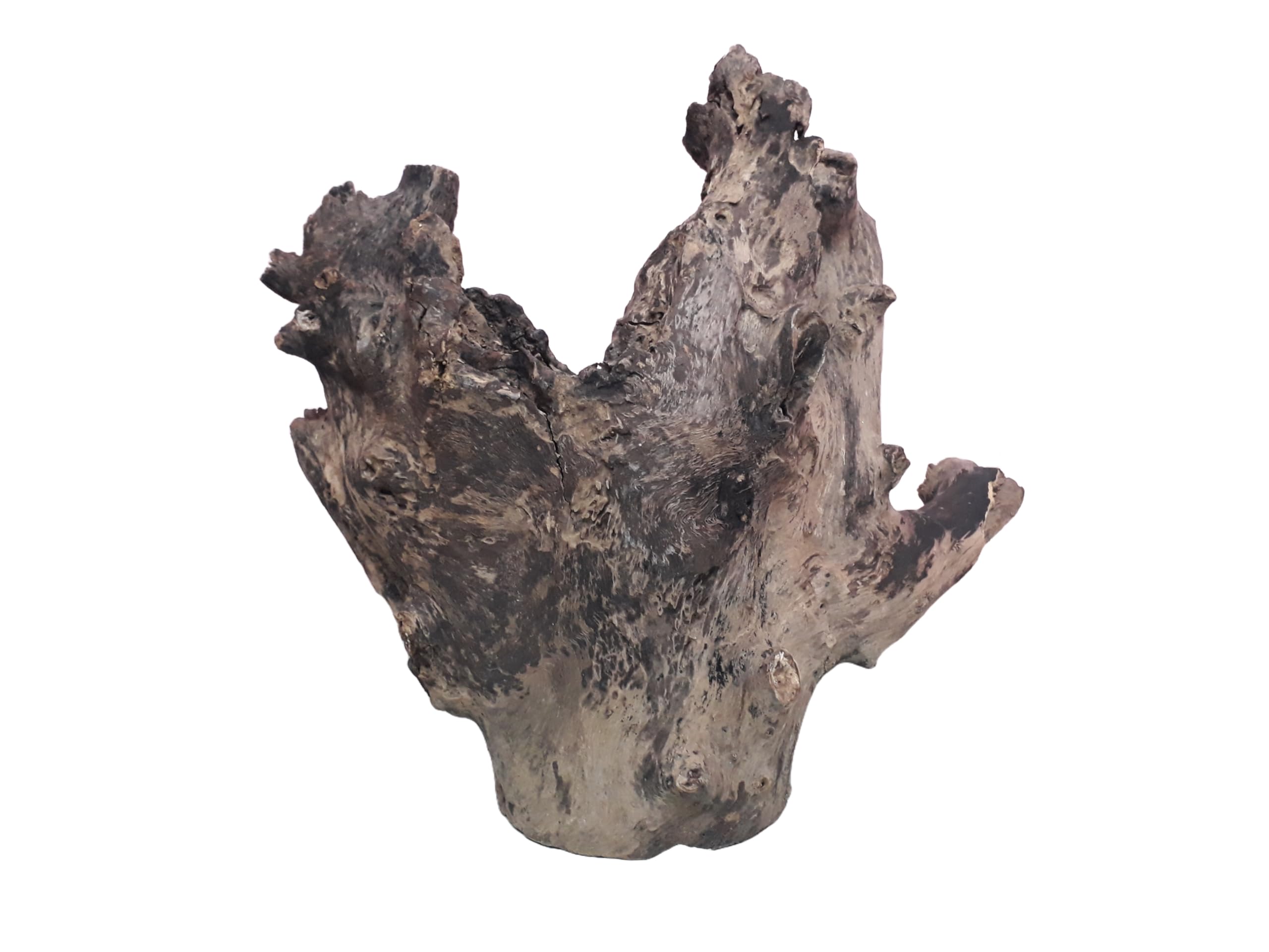 Driftwood For Aquairum Original Teak wood 5 Kg Weight and 40 CM Height